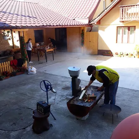 Casa de hóspedes Karisma Kriss Sucevita